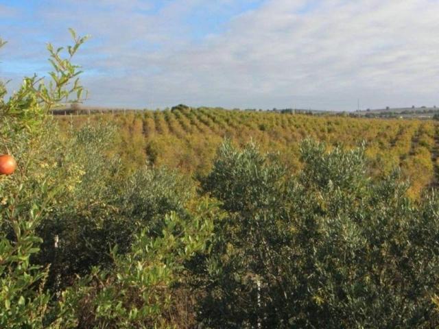 Terreno en Venta en Jerez de la Frontera
