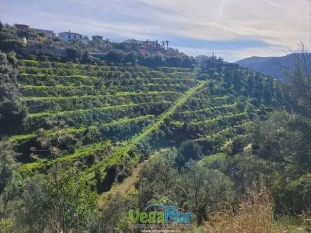 Terreno en Venta en Jete
