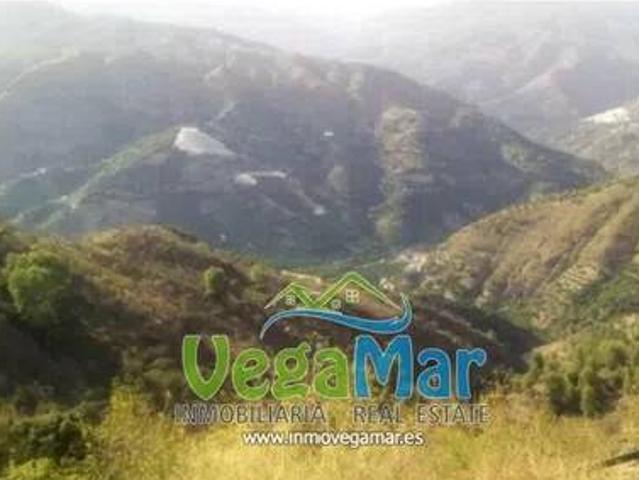 Terreno en Venta en Jete