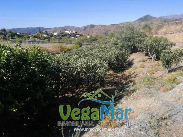 Terreno en venta en Jete