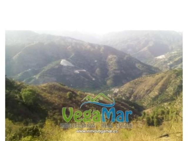 Terreno en venta en Jete