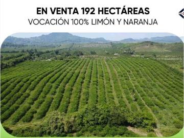 Terreno en venta en Jicaltepec, Nautla, Veracruz de Ignacio de la Llave