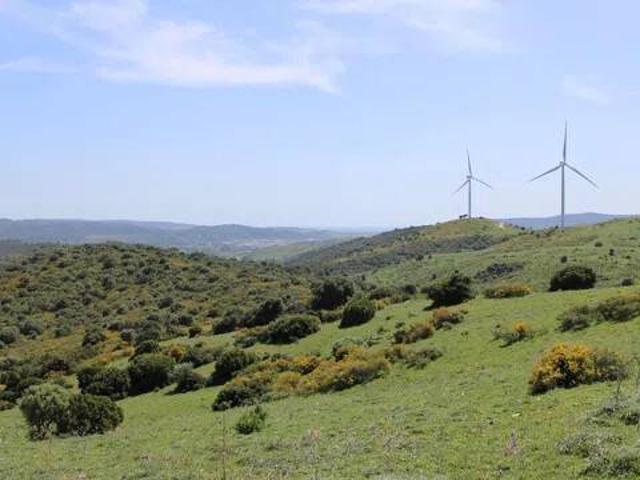 Terreno en Venta en Jimena de la Frontera