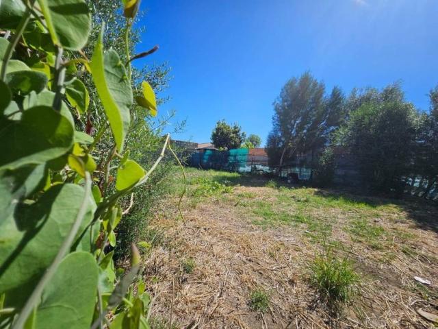 Terreno en Venta en Jimena de la Frontera