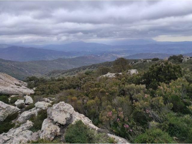 Terreno en Venta en Jimena de la Frontera