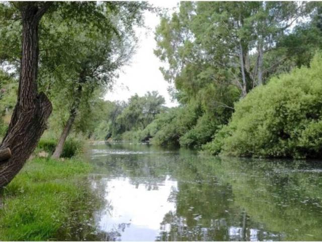 Terreno en Venta en Jimera de Líbar