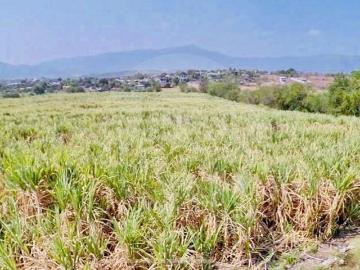TERRENO EN VENTA EN JOJUTLA MORELOS