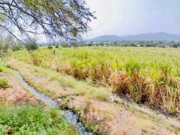 TERRENO EN VENTA EN JOJUTLA MORELOS