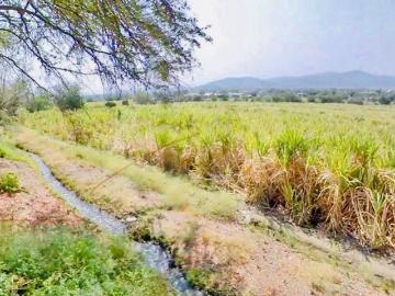 TERRENO EN VENTA EN JOJUTLA MORELOS