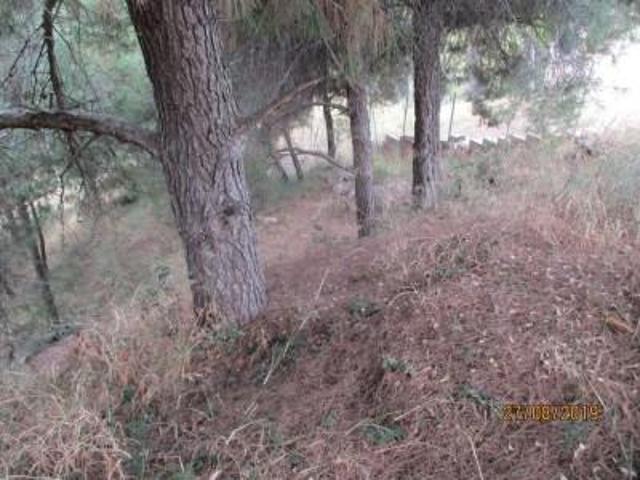 Terreno en venta en Jorba, PLA DE LA TORROELLA