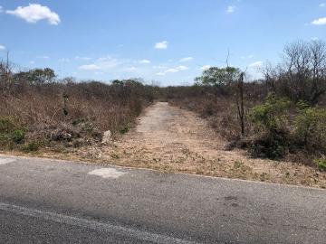Terreno en Venta en Kantoyna, M?rida Yucat?n