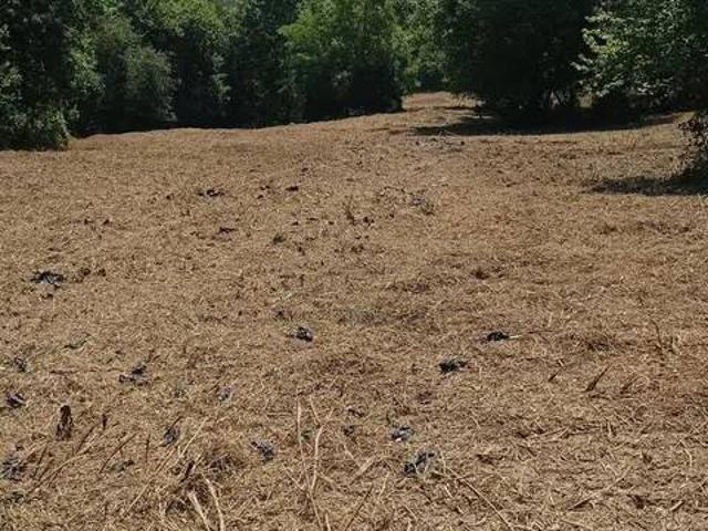 Terreno en Venta en Karrantza Harana