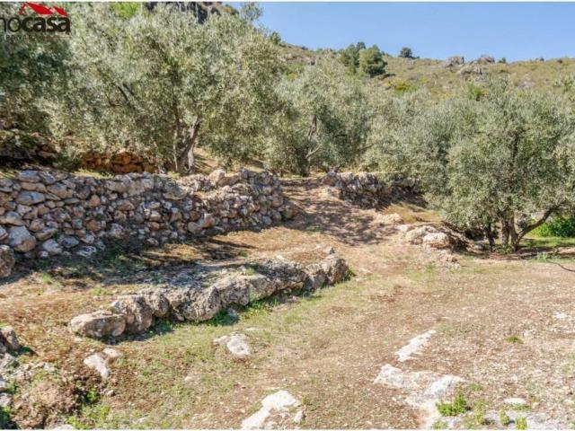 Terreno en Venta en Lúcar