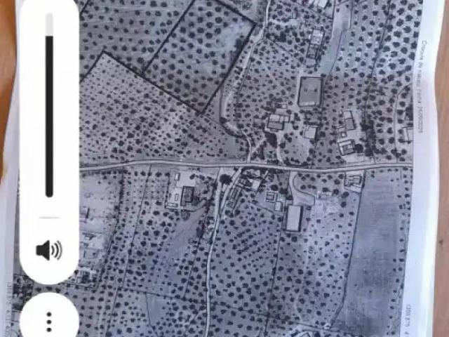 Terreno en Venta en Lucena