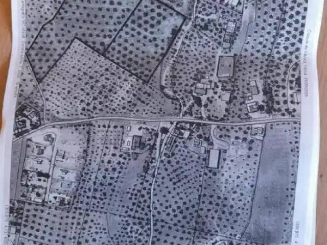 Terreno en Venta en Lucena
