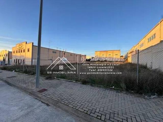Terreno en Venta en Lucena