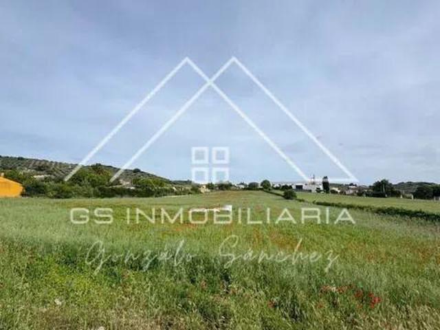 Terreno en Venta en Lucena