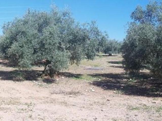 Terreno en venta en Lucena