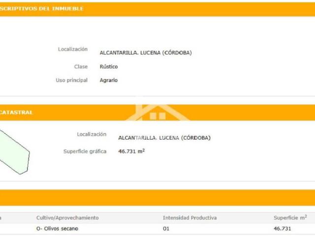 Terreno en Venta en Lucena
