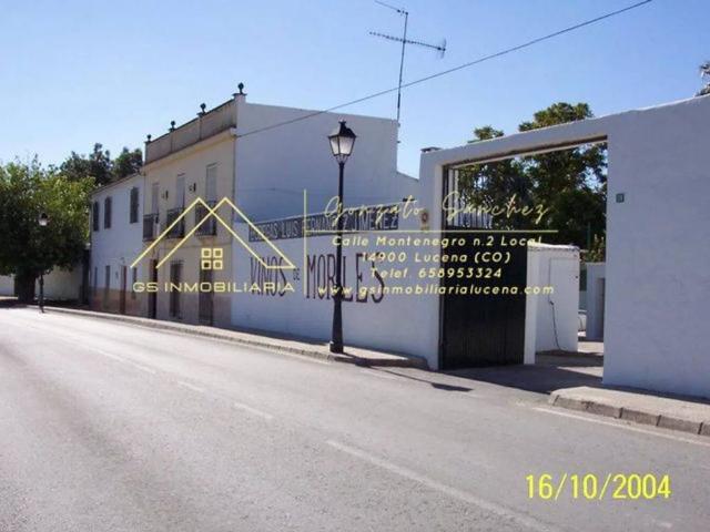 Terreno en Venta en Lucena
