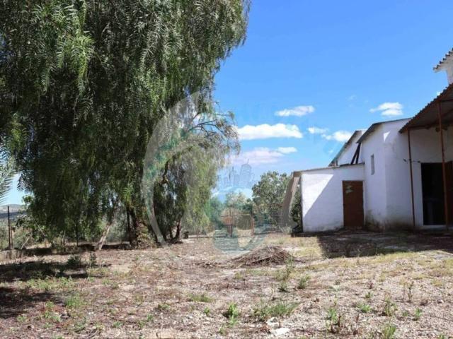 Terreno en Venta en Lucena