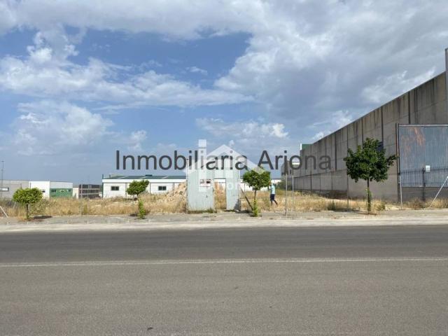 Terreno en Venta en Lucena