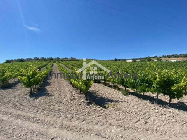 Terreno en Venta en Lucena