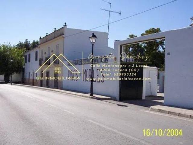 Terreno en Venta en Lucena