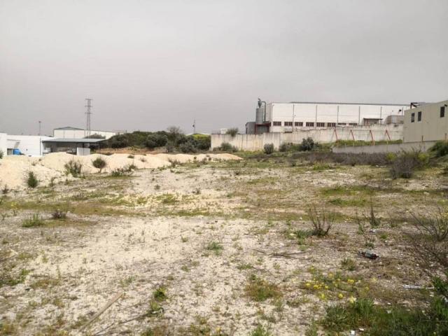 Terreno en Venta en Lucena