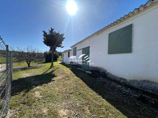 Terreno en Venta en Lucena