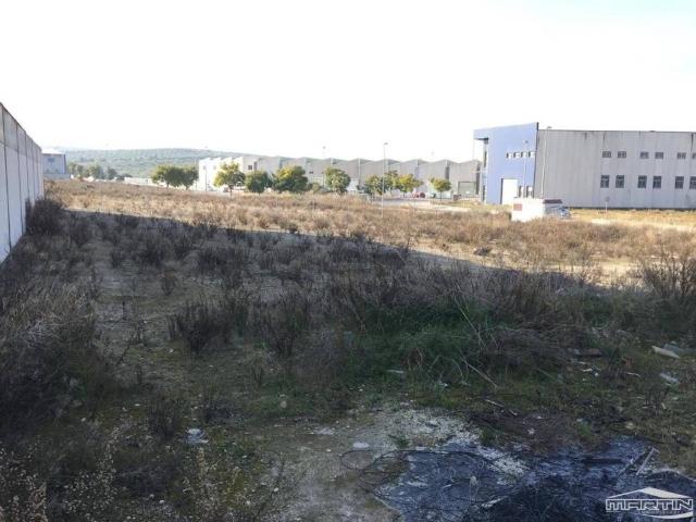 Terreno en Venta en Lucena