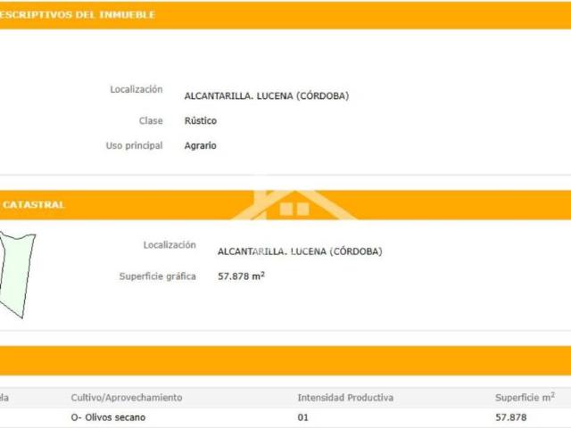 Terreno en Venta en Lucena