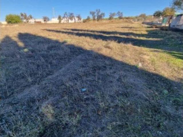 Terreno en Venta en Lucena