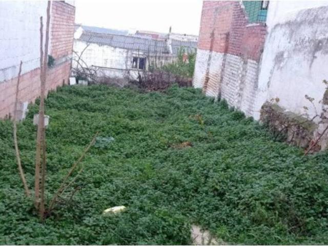 Terreno en Venta en Lucena
