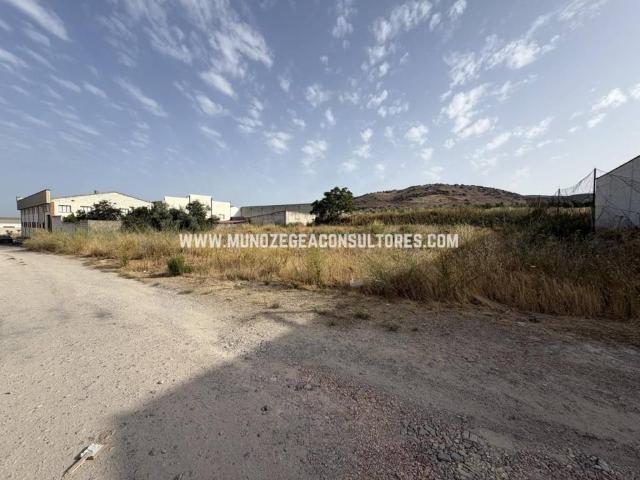 Terreno en Venta en Lucena