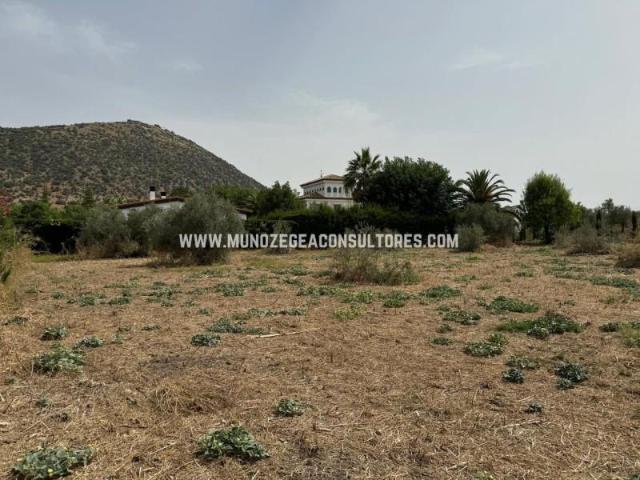 Terreno en venta en Lucena, Calle Cristo Marroquí, 14900