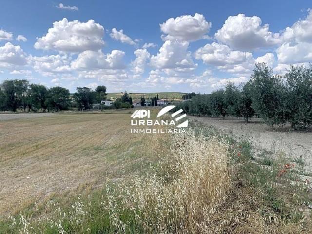 Terreno en venta en Lucena, CL R ES 3, 14900