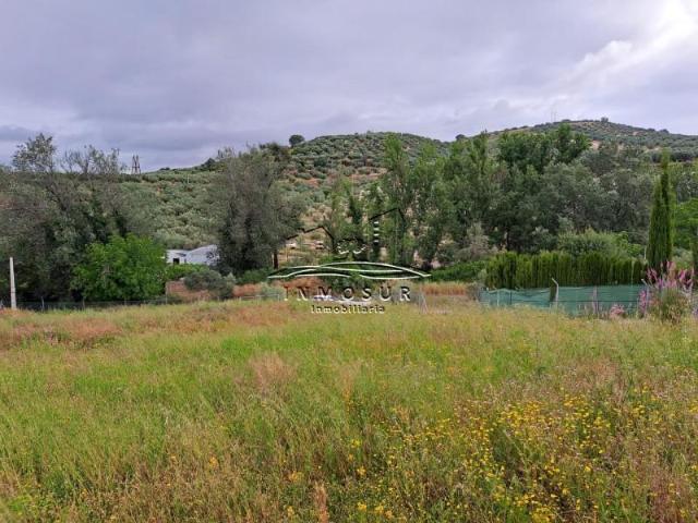 Terreno en venta en Lucena, Lucena