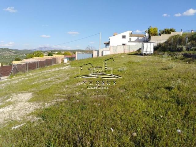 Terreno en venta en Lucena, Lucena