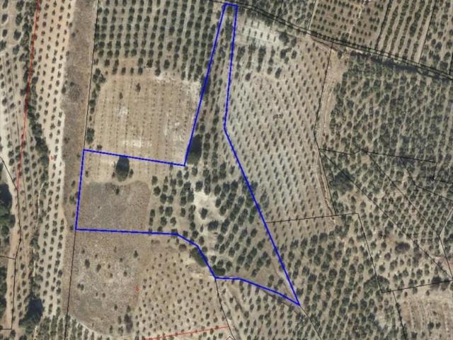 Terreno en venta en Lucena, Lucena