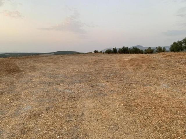 Terreno en venta en Lucena, Lucena