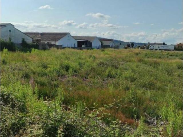 Terreno en Venta en Lugo