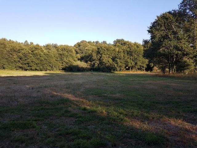 Terreno en Venta en Lugo