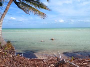 Terreno en venta en Luis Echeverría Álvarez, Othón P. Blanco, Quintana Roo
