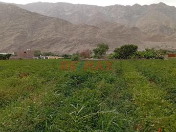 Terreno en venta en Lunahuana a S/2,958,000