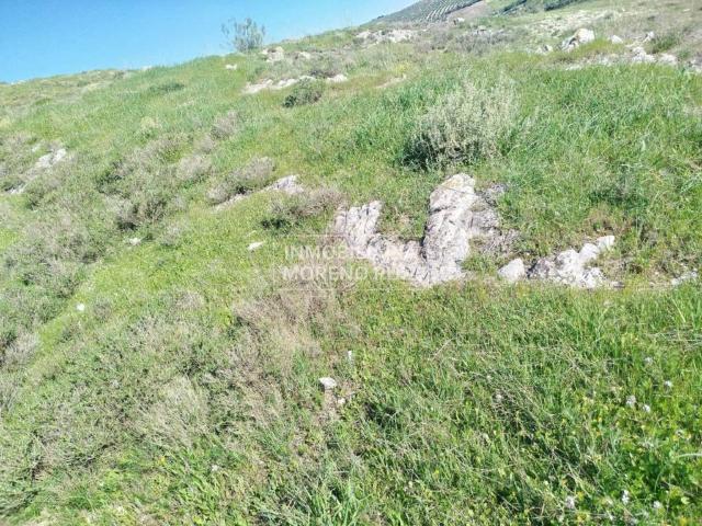 Terreno en Venta en Luque