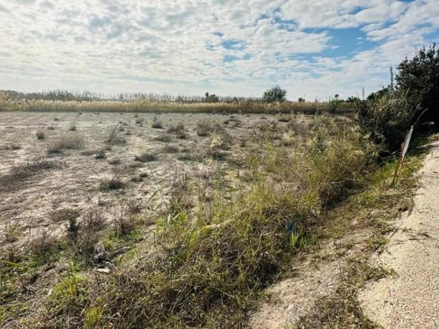 Terreno en venta en La Marina, La Marina