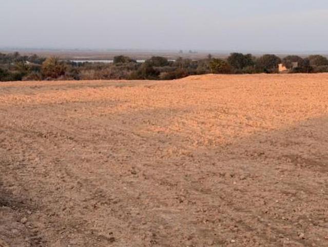 Terreno en venta en La Marina, La Marina