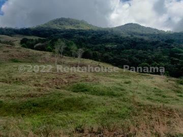 Terreno en Venta en La Mesa, Pacora