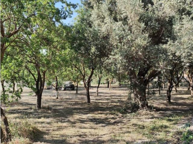 Terreno en venta en LA MOJONERA